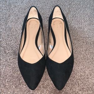 Black Flats